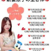 ヒメ日記 2025/10/26 08:37 投稿 新妻涼子 ハールブルク