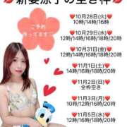 ヒメ日記 2025/10/27 22:36 投稿 新妻涼子 ハールブルク