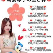 ヒメ日記 2025/11/02 09:45 投稿 新妻涼子 ハールブルク