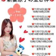 ヒメ日記 2025/11/14 13:45 投稿 新妻涼子 ハールブルク