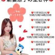 ヒメ日記 2025/11/17 22:05 投稿 新妻涼子 ハールブルク