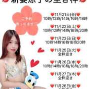 ヒメ日記 2025/11/20 11:45 投稿 新妻涼子 ハールブルク