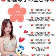 ヒメ日記 2025/11/26 00:25 投稿 新妻涼子 ハールブルク