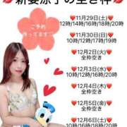 ヒメ日記 2025/11/29 08:53 投稿 新妻涼子 ハールブルク