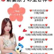 ヒメ日記 2025/11/29 20:49 投稿 新妻涼子 ハールブルク