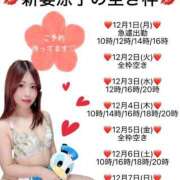 ヒメ日記 2025/11/30 19:00 投稿 新妻涼子 ハールブルク