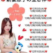 ヒメ日記 2025/12/03 08:47 投稿 新妻涼子 ハールブルク