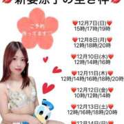 ヒメ日記 2025/12/06 22:31 投稿 新妻涼子 ハールブルク