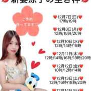 ヒメ日記 2025/12/07 11:50 投稿 新妻涼子 ハールブルク