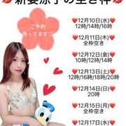 ヒメ日記 2025/12/08 22:45 投稿 新妻涼子 ハールブルク