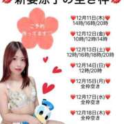 ヒメ日記 2025/12/11 14:08 投稿 新妻涼子 ハールブルク