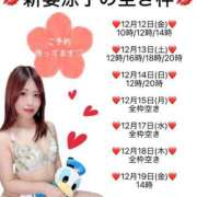 ヒメ日記 2025/12/12 10:25 投稿 新妻涼子 ハールブルク