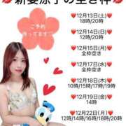 ヒメ日記 2025/12/12 22:15 投稿 新妻涼子 ハールブルク