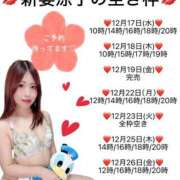 新妻涼子 空き枠状況❤️ ハールブルク