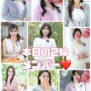 ヒメ日記 2025/12/18 15:13 投稿 新妻涼子 ハールブルク