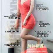 ヒメ日記 2026/01/12 09:03 投稿 新妻涼子 ハールブルク