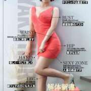 ヒメ日記 2026/03/28 15:56 投稿 新妻涼子 ハールブルク