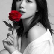 ヒメ日記 2026/03/31 07:13 投稿 新妻涼子 ハールブルク