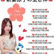 ヒメ日記 2026/04/15 22:09 投稿 新妻涼子 ハールブルク