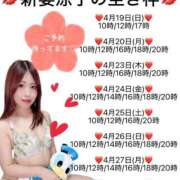 ヒメ日記 2026/04/18 22:06 投稿 新妻涼子 ハールブルク