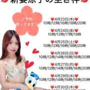 ヒメ日記 2026/04/22 11:40 投稿 新妻涼子 ハールブルク