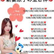 ヒメ日記 2026/04/28 09:47 投稿 新妻涼子 ハールブルク