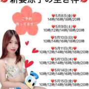 ヒメ日記 2026/05/08 12:01 投稿 新妻涼子 ハールブルク
