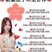 ヒメ日記 2026/05/29 09:07 投稿 新妻涼子 ハールブルク