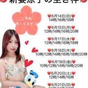 ヒメ日記 2026/06/14 09:36 投稿 新妻涼子 ハールブルク