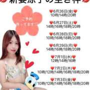 ヒメ日記 2026/06/26 08:50 投稿 新妻涼子 ハールブルク