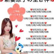 ヒメ日記 2026/08/26 11:45 投稿 新妻涼子 ハールブルク