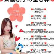 ヒメ日記 2026/09/04 11:46 投稿 新妻涼子 ハールブルク