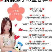 ヒメ日記 2026/09/05 11:47 投稿 新妻涼子 ハールブルク