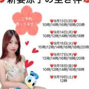 ヒメ日記 2026/09/12 19:50 投稿 新妻涼子 ハールブルク