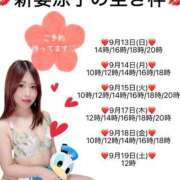 ヒメ日記 2026/09/13 11:26 投稿 新妻涼子 ハールブルク