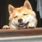 ヒメ日記 2026/04/08 17:06 投稿 もえ 立川女学園