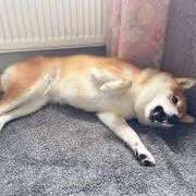 ヒメ日記 2026/04/22 07:15 投稿 もえ 立川女学園