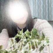 ヒメ日記 2026/02/09 23:59 投稿 まや 小田原人妻城