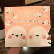 まや ご馳走様‎🤍 小田原人妻城