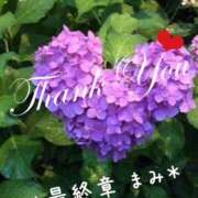 ヒメ日記 2025/06/10 18:50 投稿 まみ 熟女の風俗最終章 本厚木店