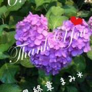 ヒメ日記 2025/06/25 20:26 投稿 まみ 熟女の風俗最終章 本厚木店