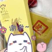 ヒメ日記 2025/08/27 02:28 投稿 ゆめ パイレーツ