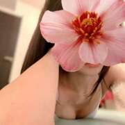 ヒメ日記 2025/10/30 12:48 投稿 杉野ひかり FROG SPA(フロッグスパ)