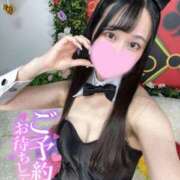 ヒメ日記 2025/04/13 09:39 投稿 こはく 恋するバニー