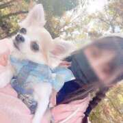 ヒメ日記 2025/04/01 15:07 投稿 山口りいさ 大人めシンデレラ 新横浜店（シンデレラグループ）