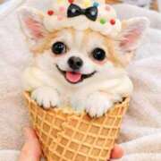 ヒメ日記 2026/01/15 16:00 投稿 山口りいさ 大人めシンデレラ 新横浜店（シンデレラグループ）