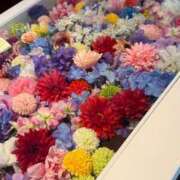 ヒメ日記 2025/06/16 15:36 投稿 のあ 奈良橿原大和高田ちゃんこ