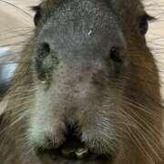 ヒメ日記 2025/08/18 11:01 投稿 ありさ✖1【AF♡】 やん姫SP