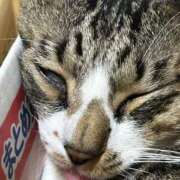 ヒメ日記 2026/04/06 12:04 投稿 ありさ✖1【AF♡】 やん姫SP