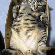 ヒメ日記 2026/04/11 00:44 投稿 ありさ✖1【AF♡】 やん姫SP